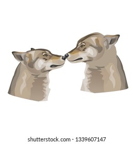 Two gray wolves kissing. Vector illustration isolated on white background