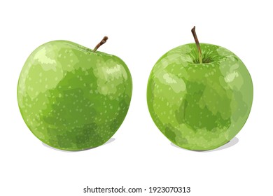 Two green apples isolated on white background. Vector illustration