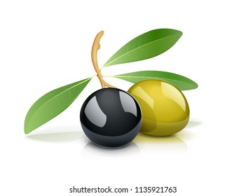 Dos olivos verdes y negros con hojas. Aceite producto vegetariano natural. Ingrediente alimenticio saludable. fruta italiana. Fondo blanco aislado. Ilustración vectorial EPS10.
