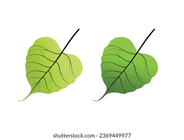 Two green Bodhi leaves vector.