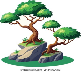 Two green bonsai trees growing on rocks