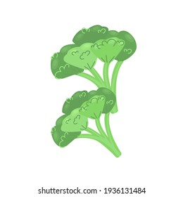 
Two green bunches of broccoli, vegetable rich in vitamin C, broccoli icon, vector illustration in flat style.