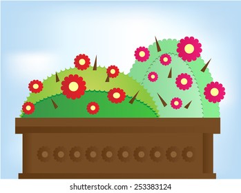 Two green cactus with colorful flowers and thorns