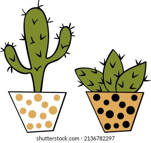 Two green cactus in pots
