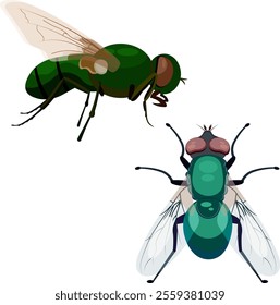 Two green flies without background