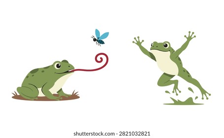 Two green frogs in action with one catching a fly using its tongue and another jumping out of the water.