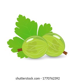 Dos arándanos verdes con una hoja sobre un fondo blanco.