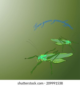 Two green grasshopper on a gradient background and blue text. Handmade.