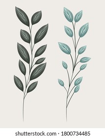 two green leaves bouquets painting design of Natural floral nature and plant theme Vector illustration