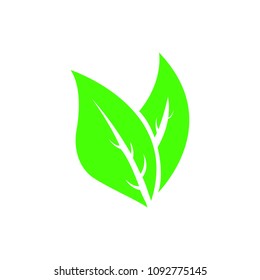 Two green leaves, for designer, flat design, vector
