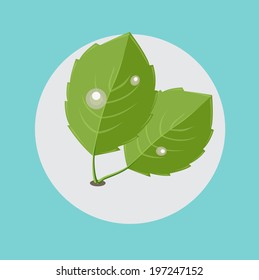 Two green leaves with dew flat design
