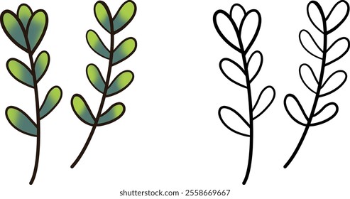 Two green leaves on transparent background and colored lines