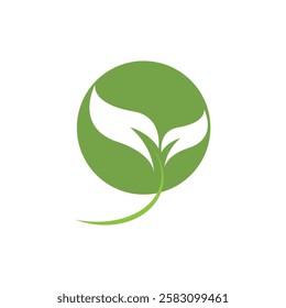 two green leaves and one circle