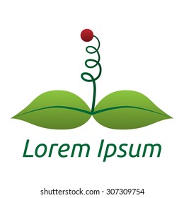 Two green leaves and stalk with red berry logo template. EPS 10 vector illustration, no transparency