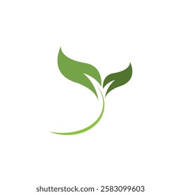two green leaves with a green stripe below