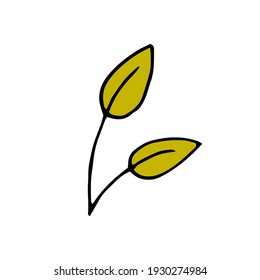 Zwei grüne Blätter von einem Baum. Vektorhandgezeichnete doodle-Illustration.