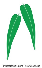 Dos eucaliptos verdes largos en el logo