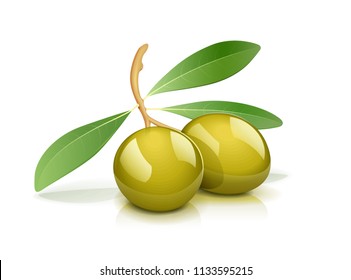Two green olive with leaf. Oil natural vegetarian product. Healthy food ingredient. Italian fruit. Isolated white background. EPS10 vector illustration.