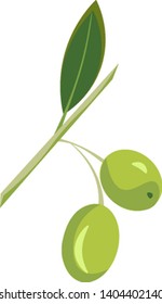 Two green olives in a branch with a leaf, vector, color drawing or illustration. 