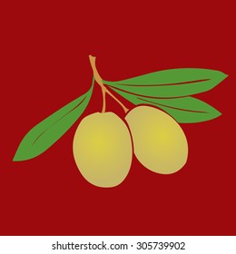 Two green olives on branch with leaves. Hand drawn vector illustration.