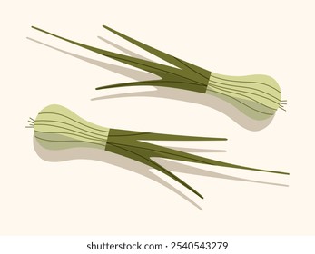 Two green onions on a beige background. Vegetables, healthy food, proper nutrition. Vector illustration