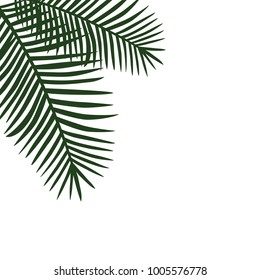 two green palm leaves on the side background vector.