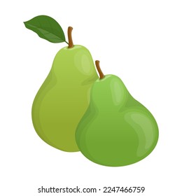 Two green pears vector illustration. Whole juicy garden fruit with leaf isolated on white. Fruit, dessert, food concept