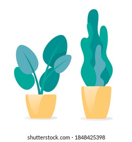 Two green plants at home set. Interior design houseplants vector illustration. Cartoon house or office plants standing in vases. Decorative plants isolated on white background.