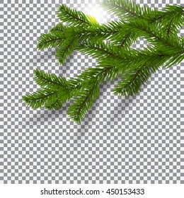 Two green, realistic shadows with spruce branches. Christmas Spruce branches. On a plaid background. The sun. Christmas vector illustration