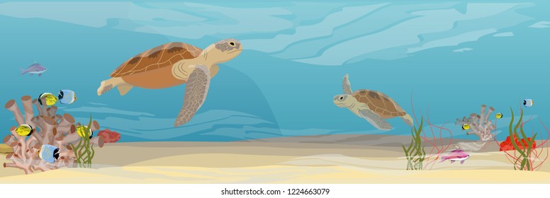 Two Green sea turtle swimming under water. Tropical underwater landscape. Warm water. Coral reef with coral, sea sponges, sand and stones. Realistic Vector illustration of a sea life