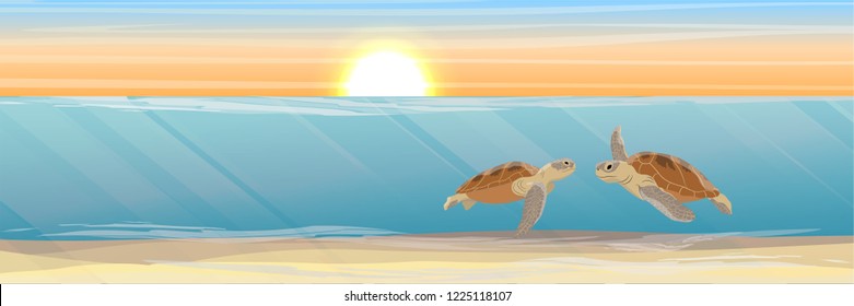 Two Green sea turtle swimming under water. Tropical underwater landscape. Warm water. Realistic Vector illustration of a sea life