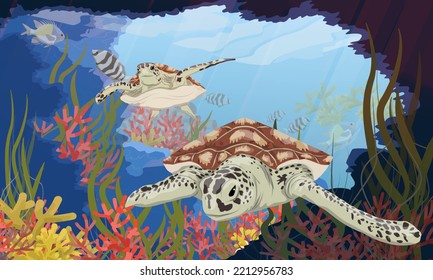 Two green sea turtles swim in an underwater cave. Tropical coral reef with fish and algae. Realistic vector underwater landscape.