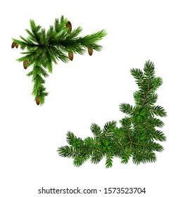 Two green spruce branches realistic. Christmas vector illustration