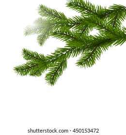 Two green spruce branches realistic. Christmas Spruce branches. Isolated on white Christmas vector illustration