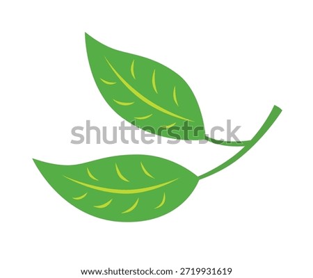 Two green tea leaves branch illustration isolated vector
