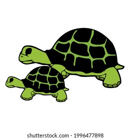 two green turtle cartoon design