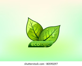 Two green vector ecology leaves with droplets with plate for text placement