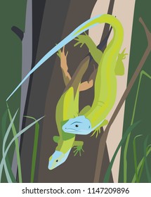 Two green vector lizards sit on a tree. Illustration on nature. Green grass.