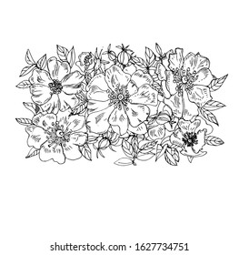 Two greeting cards, they depict the flowers are called rose hips, the delicate interweaving of flowers and leaves of green outline