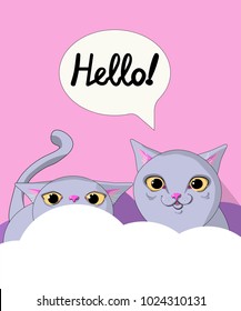 Two grey cats on a cloud with a pink background saying hello