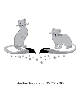 Two grey ermine