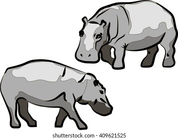 Two grey vector hippos 