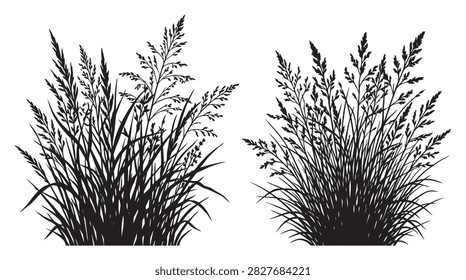 Two groupings of wild grasses are depicted as a black silhouette against a white background. The style features detailed botanical