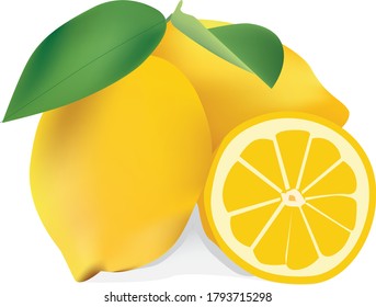 ilustración de dos limoneros y medio