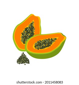 Two half papaya with seeds. Exotic and tropical fruit. Ripe papaya fruit for design decoration, hand-drawn. Print for clothing, textiles, fabrics. Vector illustration.