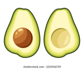 Two halves of avocado on a white background. Vector illustration.
