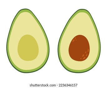 Two halves of an avocado. Raw fresh green vegetable with core and pit. Healthy vegetarian food. Isolated vector illustration in flat style.