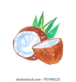 Two halves of coconut with green palm tree leaves. Healthy tropical fruit. Natural product design. Organic food store label. Watercolor painting. Vector illustration
