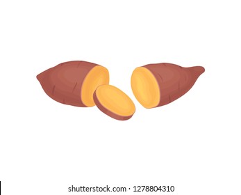 Two halves of cut sweet potato and one round slice. Natural and healthy vegetable. Organic food. Flat vector icon