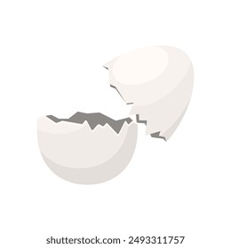 Two halves of eggshell when opening white egg, empty fragile shell vector illustration